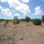 listing image thumbnail with ID 20791