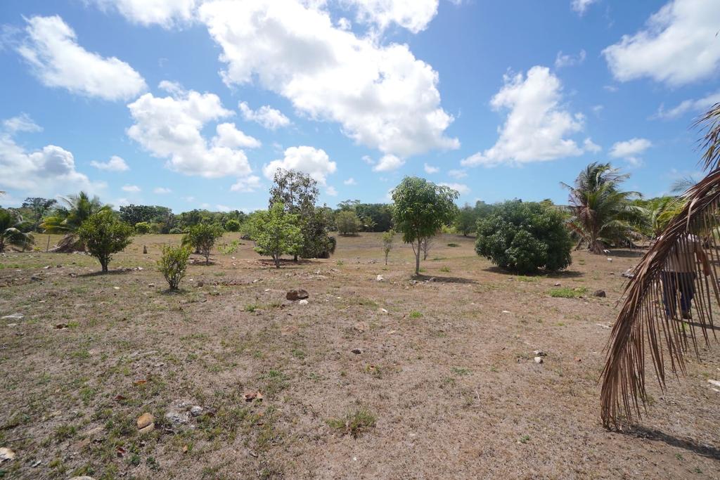 listing image with ID 20791