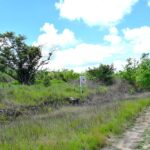 listing image thumbnail with ID 21742