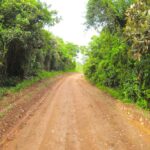 listing image thumbnail with ID 23371