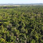 listing image thumbnail with ID 23130