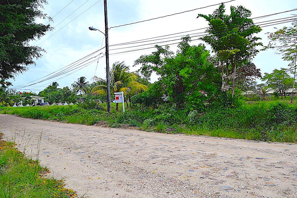 listing image with ID 21963