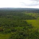 listing image thumbnail with ID 22505