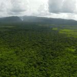 listing image thumbnail with ID 23329