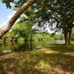 listing image thumbnail with ID 22930