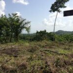 listing image thumbnail with ID 21834