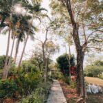 listing image thumbnail with ID 25274