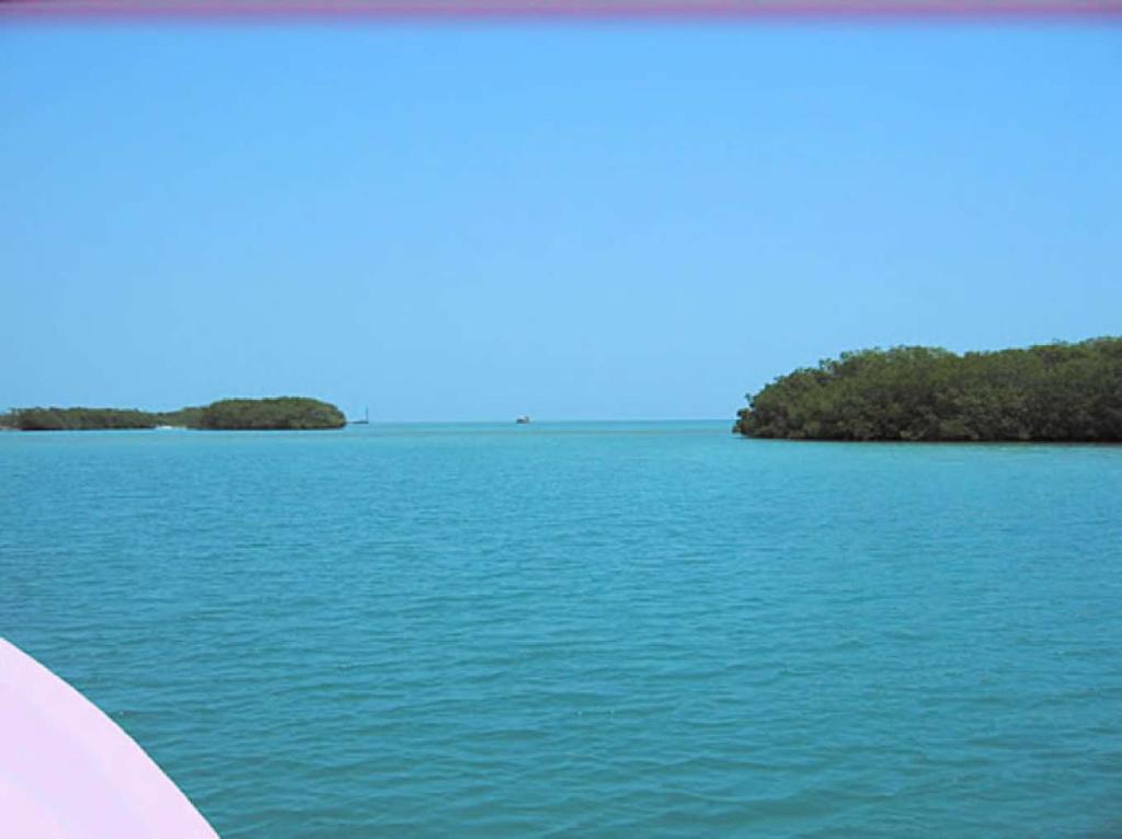 listing image with ID 16605