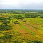 listing image thumbnail with ID 22380