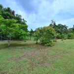 listing image thumbnail with ID 25490