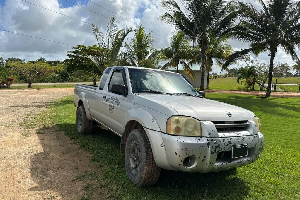 listing image with ID 20449