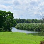 listing image thumbnail with ID 25336