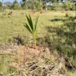 listing image thumbnail with ID 23714