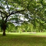 listing image thumbnail with ID 22901