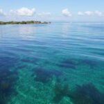 listing image thumbnail with ID 24233