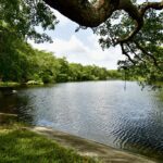 listing image thumbnail with ID 22931