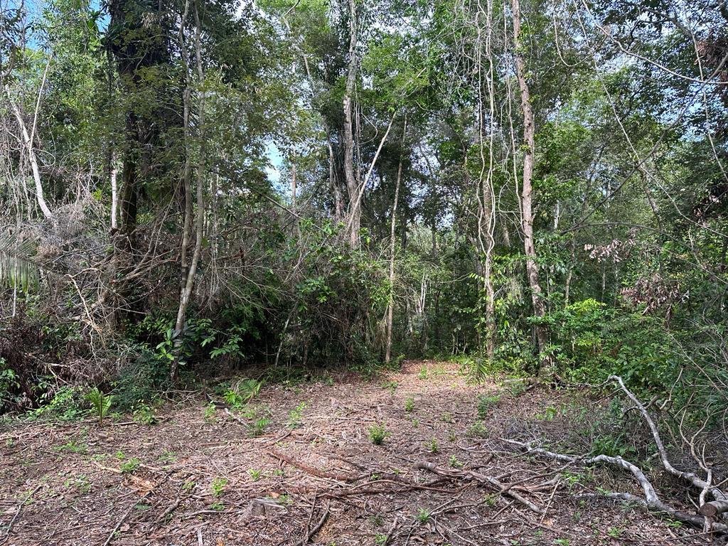 listing image with ID 17514