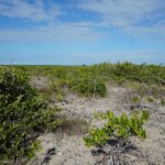 listing image thumbnail with ID 27019