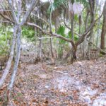 listing image thumbnail with ID 21912