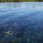 listing image thumbnail with ID 24231