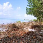 listing image thumbnail with ID 21920