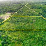 listing image thumbnail with ID 22511