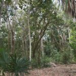 listing image thumbnail with ID 23588