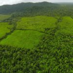 listing image thumbnail with ID 23337