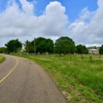 listing image thumbnail with ID 25564