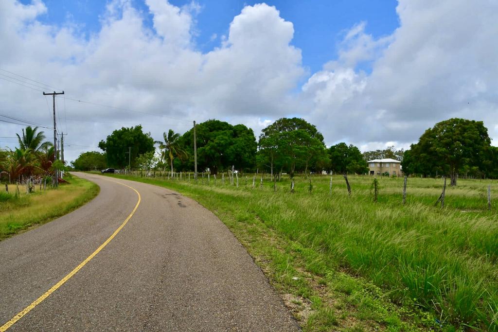 listing image with ID 25564