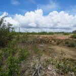 listing image thumbnail with ID 25641