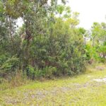 listing image thumbnail with ID 24163