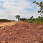 listing image thumbnail with ID 23636