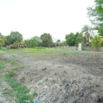 listing image thumbnail with ID 25445