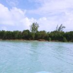 listing image thumbnail with ID 21908