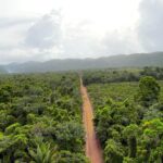 listing image thumbnail with ID 23360