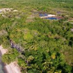 listing image thumbnail with ID 21877