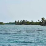 listing image thumbnail with ID 25532