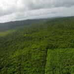 listing image thumbnail with ID 23346