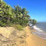 listing image thumbnail with ID 26878