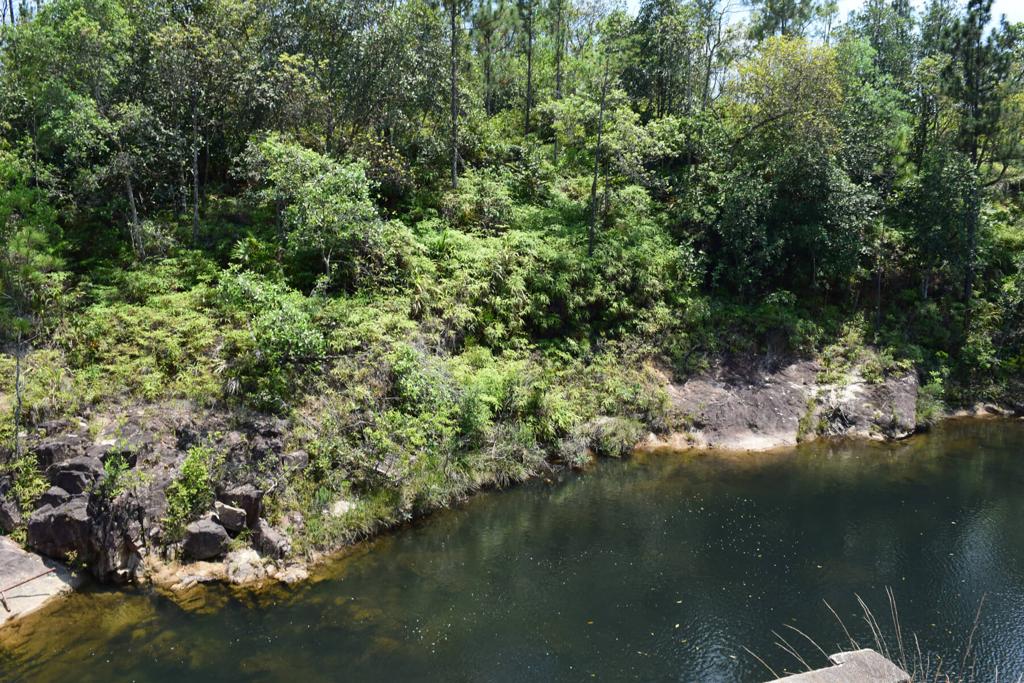 listing image with ID 19616