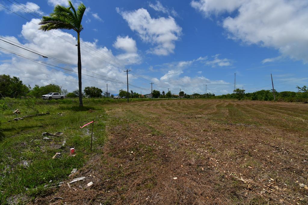 listing image with ID 25425
