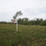 listing image thumbnail with ID 25251