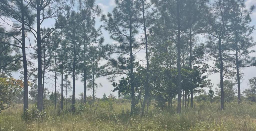 listing image with ID 14347