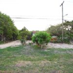 listing image thumbnail with ID 25447