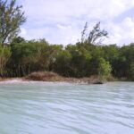 listing image thumbnail with ID 21922