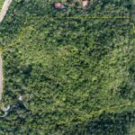 listing image thumbnail with ID 20917