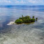 listing image thumbnail with ID 23015