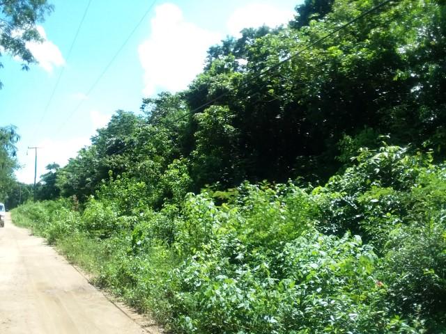 listing image with ID 21989