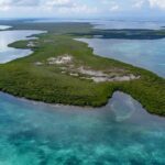 listing image thumbnail with ID 22990